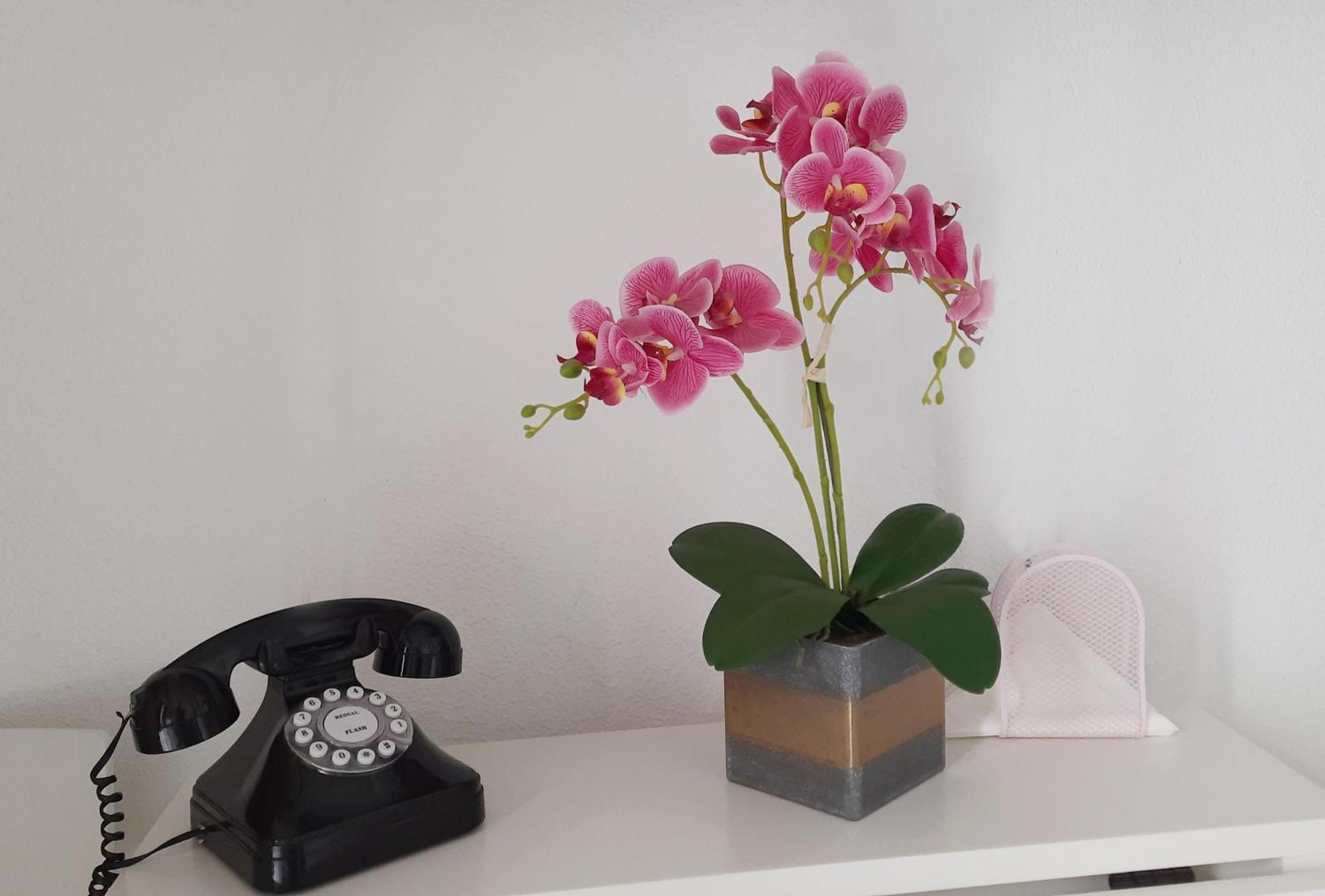 Lovely Center Apartments - Sunny Balcony Alfalfa เซบีญา ภายนอก รูปภาพ